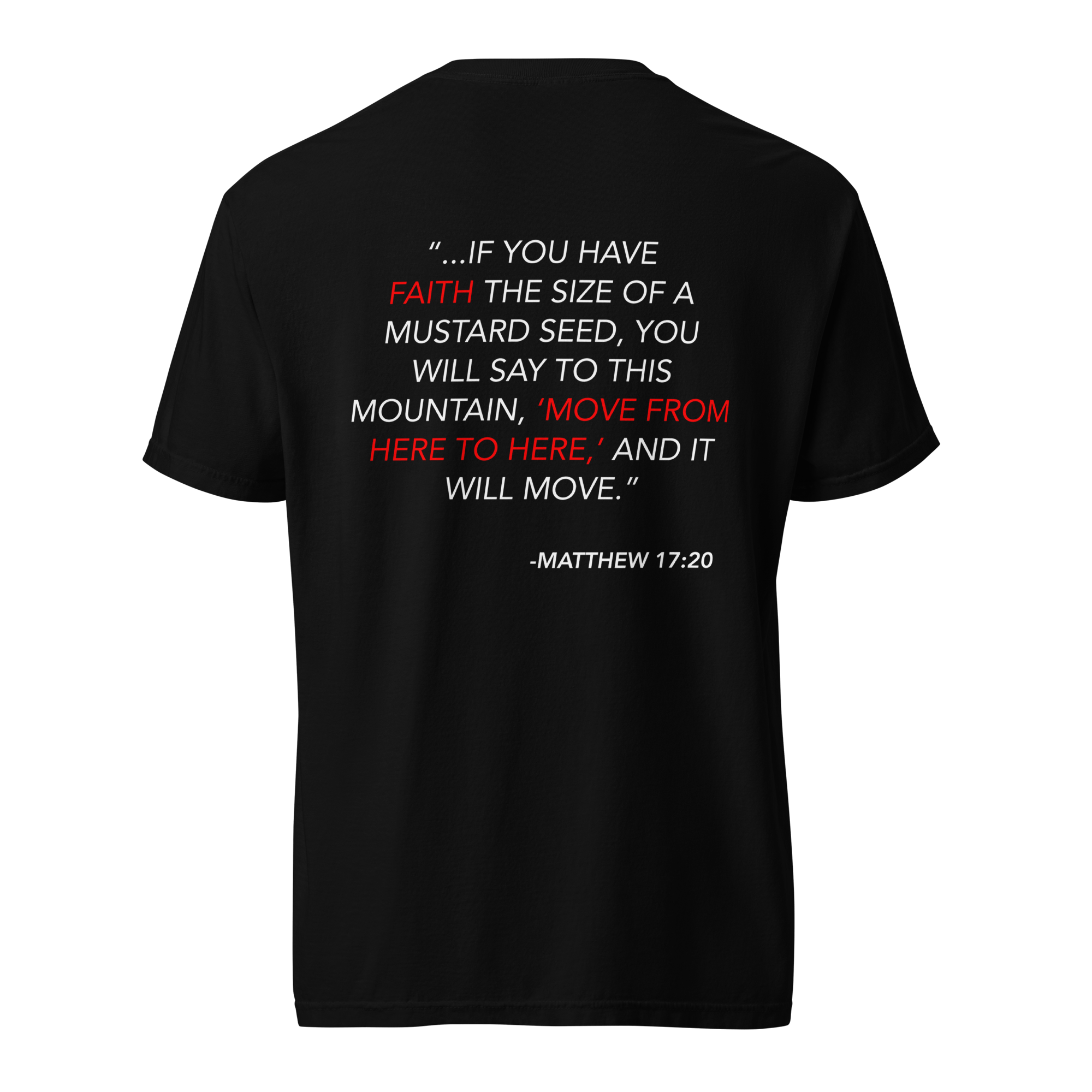 unisex-garment-dyed-heavyweight-t-shirt-black-back-669caa9554352.png