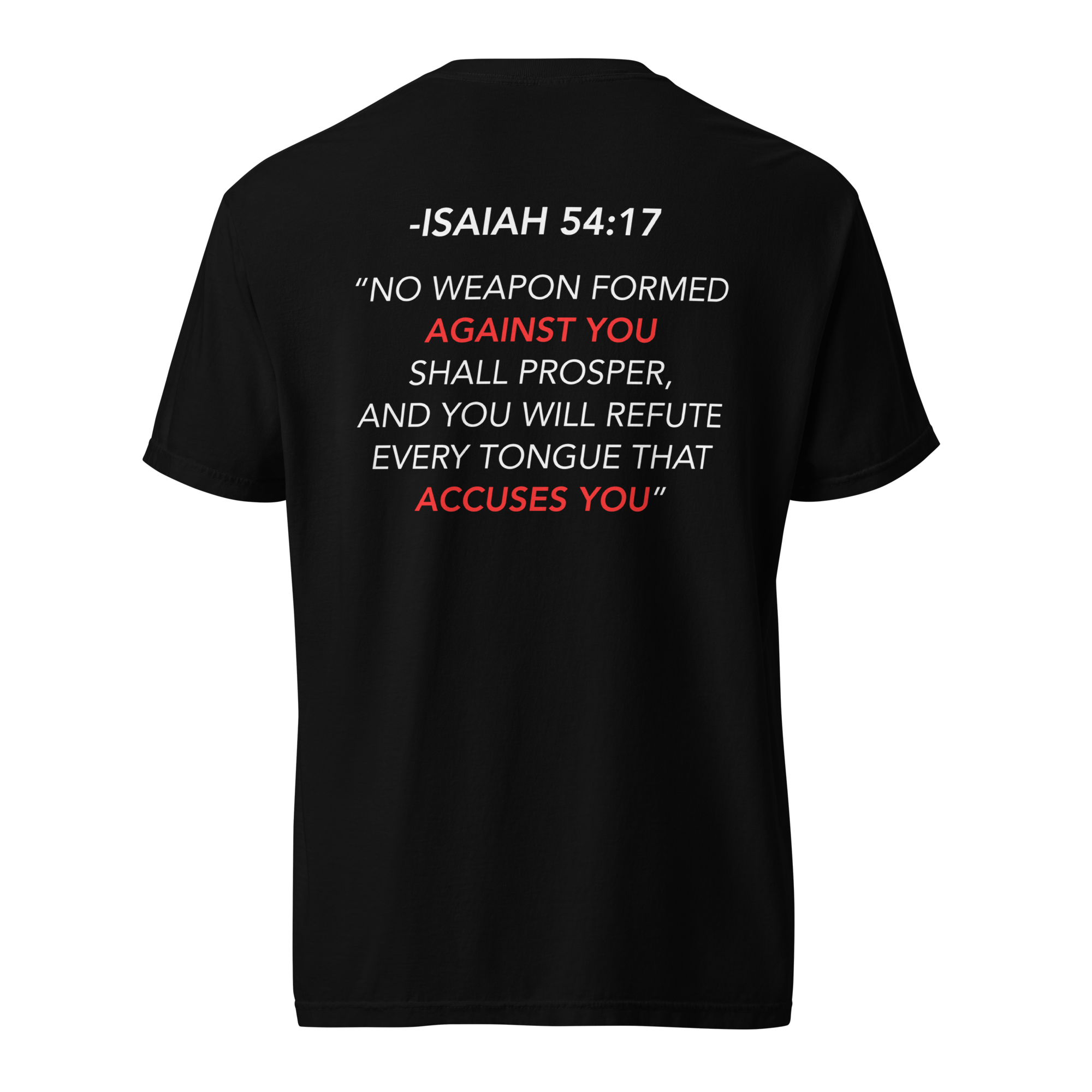 unisex-garment-dyed-heavyweight-t-shirt-black-back-669cae580aa6a.png